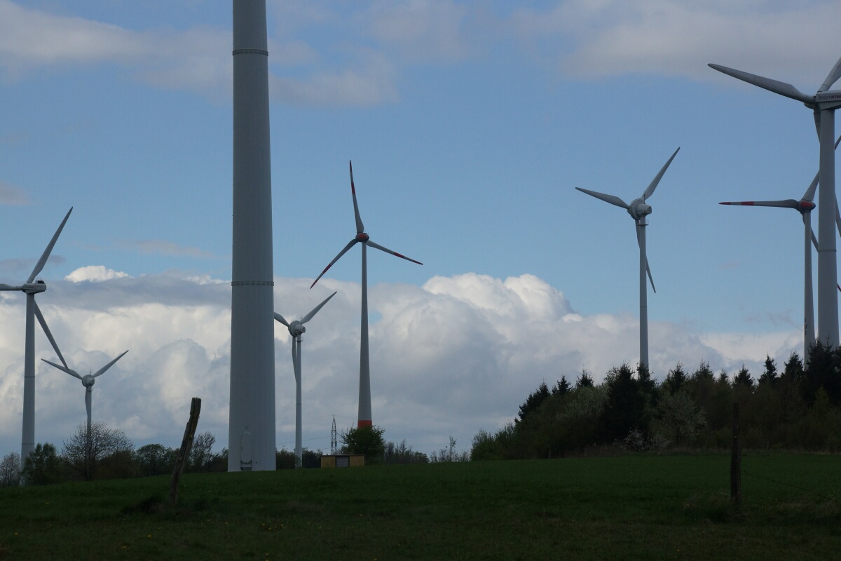 WIA VB Helpershain DSC03743.jpg